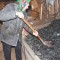 План по поставкам бытового угля населению Луганщины выполнен на 71%
