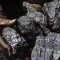 Угольная промышленность Украины в 2011 году нарастила объемы производства