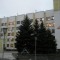 Первомайскуголь купит горно-шахтного оборудования и машин почти на 130 млн грн