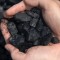 В Донецкой области в январе-феврале добыча угля выросла на 13% - до 6,6 млн. тонн