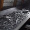 С начала года угольные предприятия в Луганской области добыли почти 17 млн. тонн угля