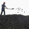 Эксперты прогнозируют увеличение спроса на уголь в Украине