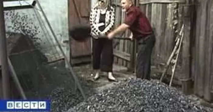 Шахтерам России вернут пайковый уголь