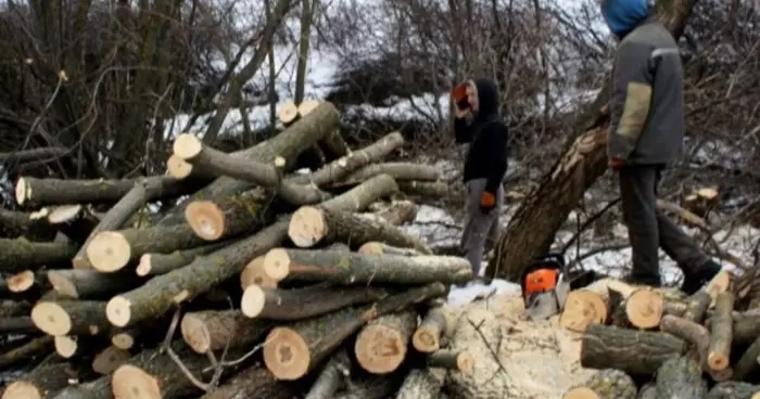 Граждане Украины смогут получить финансирование для покупки сжиженного газа дров и угля