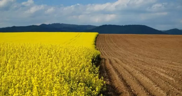 В Украине цены на землю в одной из областей разительно отличаются от остальных