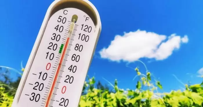 После жаркого лета 2024 года ученые предсказывают глобальное похолодание изменения в климате нашей планеты