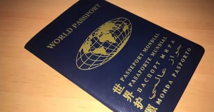 Может ли мировой гражданский паспорт стать выбором для украинских мужчин за рубежом