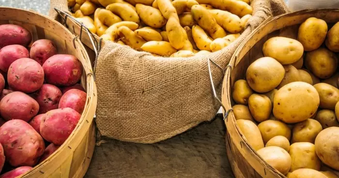 Цены на один из востребованных овощей в Украине снизились