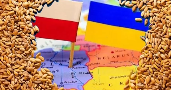 Украинские продукты возвращают из Польши в больших количествах после их отбраковки