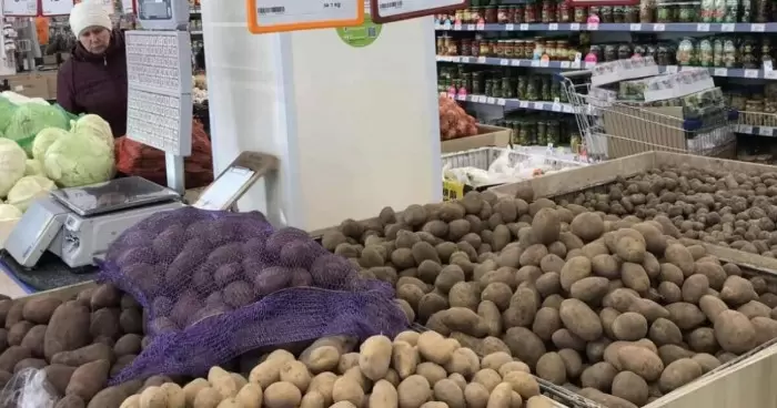 В Украине впервые за четыре месяца картофель стал дешевле