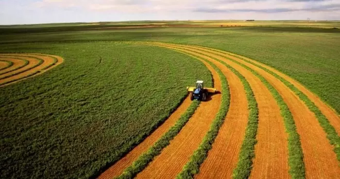 Земля в Украине резко дорожает агрохолдинги массово скупают участки
