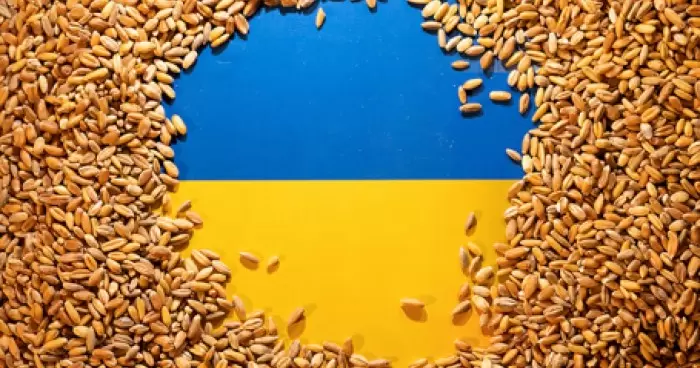 ЕС вводит пошлины на украинские продукты для защиты своих фермеров