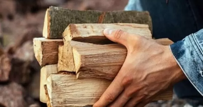 Получение субсидий на дрова действия которые следует выполнить до 1 декабря