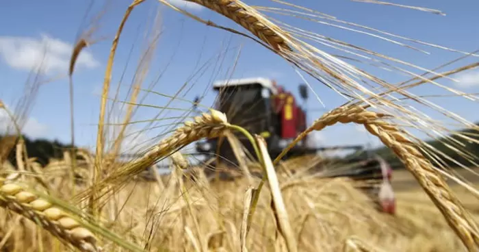 Цены на агропродукцию в Украине вырастут из-за повышения акцизов на топливо