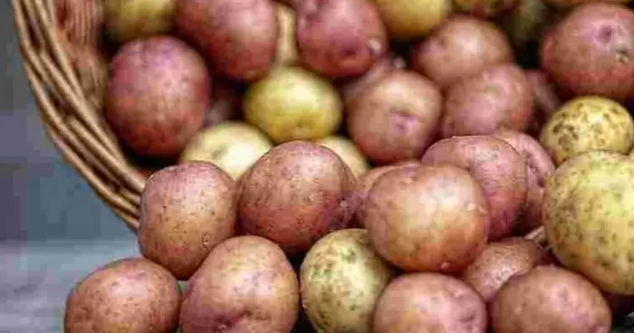 Украинцам предостерегли о рекордном подорожании картошки